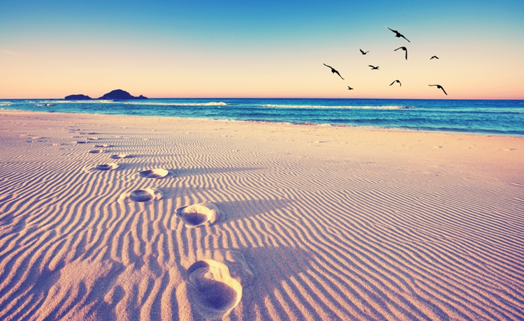 beachlife